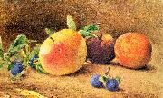 Hill, John William Study of Fruit oil painting artist